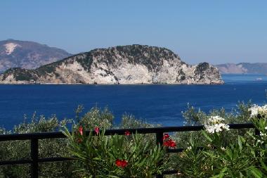 view from the terrace