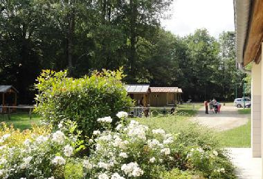 Chalet in Louvemont (Haute-Marne) or holiday homes and vacation rentals