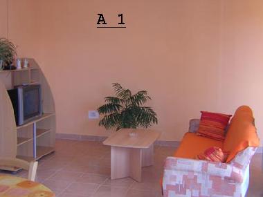 Holiday Apartment in Zadar (Zadarska) or holiday homes and vacation rentals