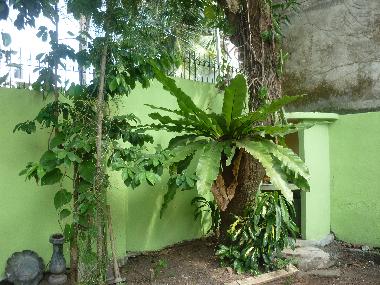 Holiday House in Dehiwala (Colombo) or holiday homes and vacation rentals