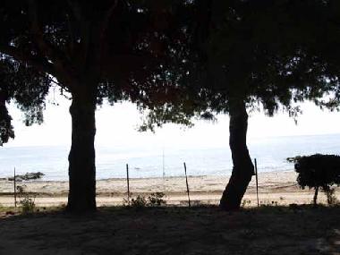 Villa in Nikiti (Chalkidiki) or holiday homes and vacation rentals