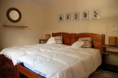 Holiday House in Machico (Porto da Cruz) (Madeira) or holiday homes and vacation rentals