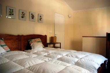 Holiday House in Machico (Porto da Cruz) (Madeira) or holiday homes and vacation rentals