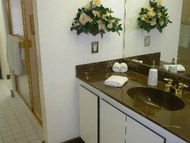 Hall Bathroom