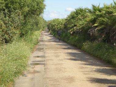 Holiday House in Porreres (Mallorca) or holiday homes and vacation rentals