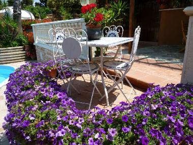 Holiday House in Roma (Rome) or holiday homes and vacation rentals