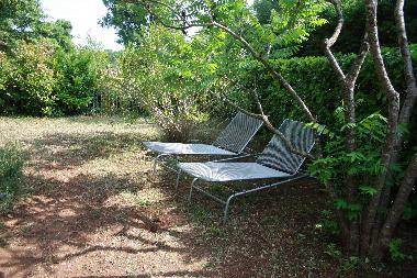 Holiday House in St. Cezaire-sur-Siagne (Alpes-Maritimes) or holiday homes and vacation rentals