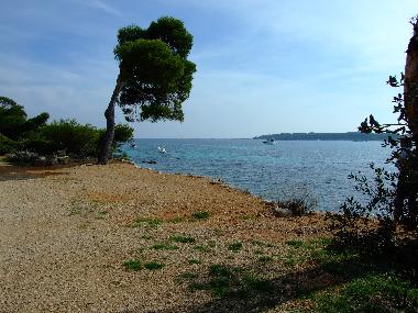 Holiday House in St. Cezaire-sur-Siagne (Alpes-Maritimes) or holiday homes and vacation rentals