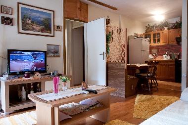 Holiday Apartment in DUBROVNIK (Dubrovacko-Neretvanska) or holiday homes and vacation rentals