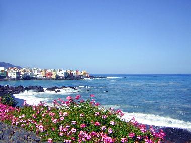 Holiday Apartment in Puerto de la Cruz  (Teneriffa) or holiday homes and vacation rentals