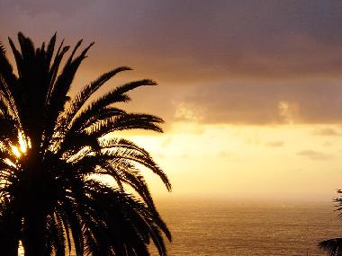 Holiday Apartment in Puerto de la Cruz  (Teneriffa) or holiday homes and vacation rentals
