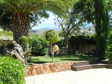 Holiday House in Arona  (Teneriffa) or holiday homes and vacation rentals