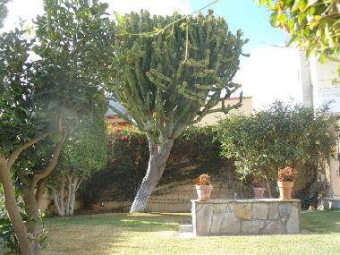 Holiday House in Arona  (Teneriffa) or holiday homes and vacation rentals