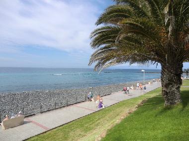 Holiday House in Arona  (Teneriffa) or holiday homes and vacation rentals
