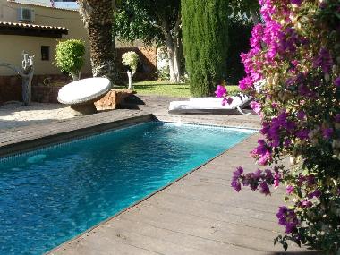 Holiday House in Arona  (Teneriffa) or holiday homes and vacation rentals
