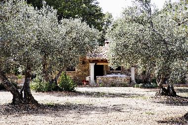 Holiday House in Jaraiz de la Vera (Cceres) or holiday homes and vacation rentals