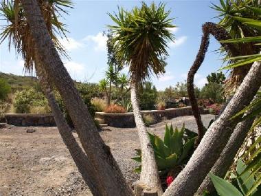 Holiday Apartment in Guia de Isora (Teneriffa) or holiday homes and vacation rentals