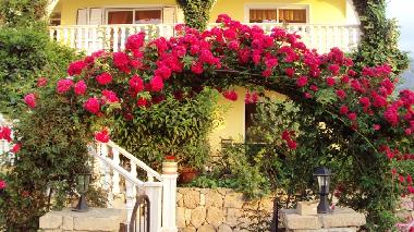 Holiday House in Alsancak (Kyrenia) or holiday homes and vacation rentals