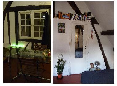 Holiday Apartment in Paris (Paris) or holiday homes and vacation rentals