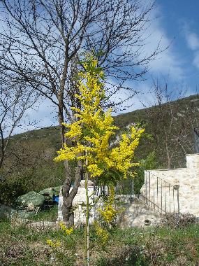 Holiday Apartment in Terria (Ferentillo) (Terni) or holiday homes and vacation rentals