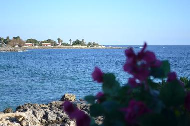 Holiday House in Siracusa (Siracusa) or holiday homes and vacation rentals