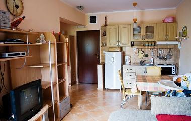 Holiday Apartment in Igalo (Montenegro) or holiday homes and vacation rentals