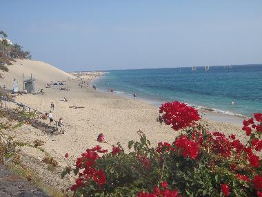 Holiday Apartment in Morro Jable (Fuerteventura) or holiday homes and vacation rentals