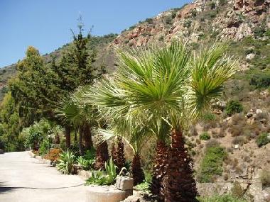 Holiday House in CEFALU (Palermo) or holiday homes and vacation rentals