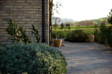 Holiday House in Loretello (Ancona) or holiday homes and vacation rentals