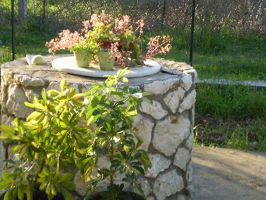 Holiday House in lefkada (Lefkada) or holiday homes and vacation rentals