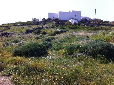 Holiday House in Myconos (Kyklades) or holiday homes and vacation rentals