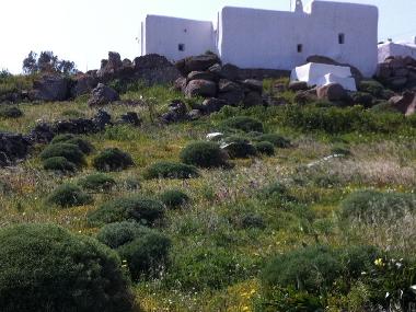 Holiday House in Myconos (Kyklades) or holiday homes and vacation rentals