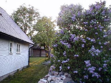 Holiday House in at sea (Saaremaa) or holiday homes and vacation rentals