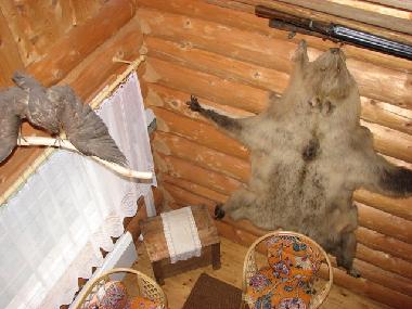 Holiday House in at sea (Saaremaa) or holiday homes and vacation rentals