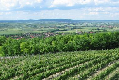 Holiday Apartment in Zellerndorf (Weinviertel) or holiday homes and vacation rentals