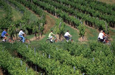 Holiday Apartment in Zellerndorf (Weinviertel) or holiday homes and vacation rentals