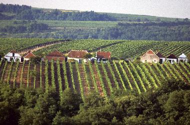 Holiday Apartment in Zellerndorf (Weinviertel) or holiday homes and vacation rentals