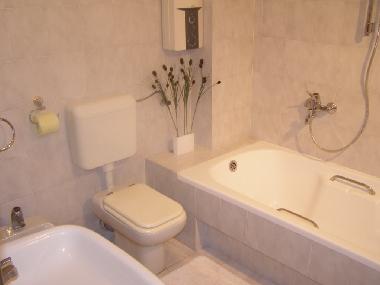 Holiday Apartment in Dubrovnik (Dubrovacko-Neretvanska) or holiday homes and vacation rentals