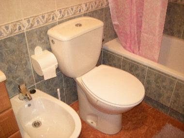 Holiday Apartment in torrevieja (Alicante / Alacant) or holiday homes and vacation rentals