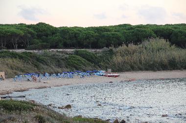 Holiday House in Isola Rossa (Gallura ) or holiday homes and vacation rentals