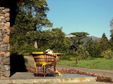 Holiday House in Santa Cruz (Madeira) or holiday homes and vacation rentals