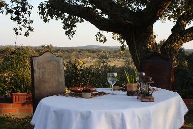 Holiday House in Arraiolos (Alto Alentejo) or holiday homes and vacation rentals