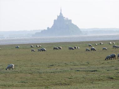 Holiday House in St L�onard (Manche) or holiday homes and vacation rentals