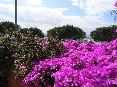 Holiday House in Rosas (Girona) or holiday homes and vacation rentals