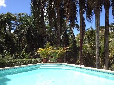 Holiday House in Las Terrenas (Samana) or holiday homes and vacation rentals