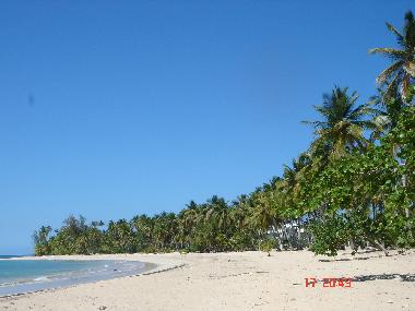 Holiday House in Las Terrenas (Samana) or holiday homes and vacation rentals