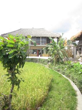 Villa in Kerobokan - Umalas (Bali) or holiday homes and vacation rentals