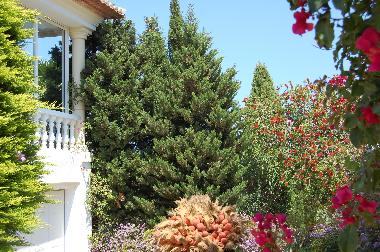 Villa in Denia (Valencia / Val�ncia) or holiday homes and vacation rentals