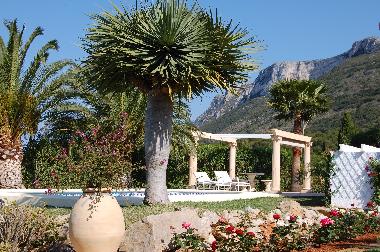 Villa in Denia (Valencia / Val�ncia) or holiday homes and vacation rentals