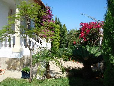 Villa in Denia (Valencia / Val�ncia) or holiday homes and vacation rentals